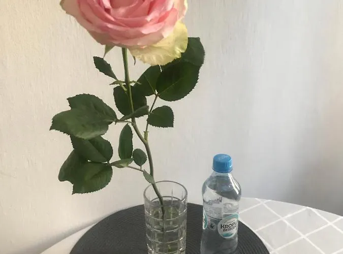 Warecka Апартаменты